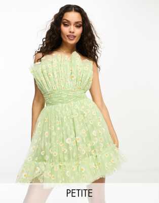 Lace & Beads Petite bandeau tulle mini dress in green daisy