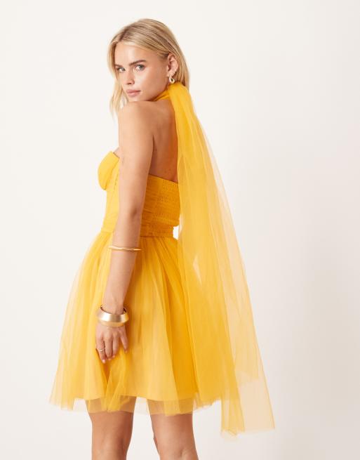 Lace & Beads Petite - Mini korsetjurk van tule met sjaal om de hals in butterscotch, 4 van 4