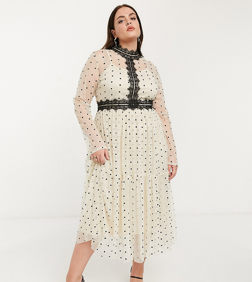 Lace & Beads Plus long sleeve polka dot midi dress with lace inserts in cream and black-Multi