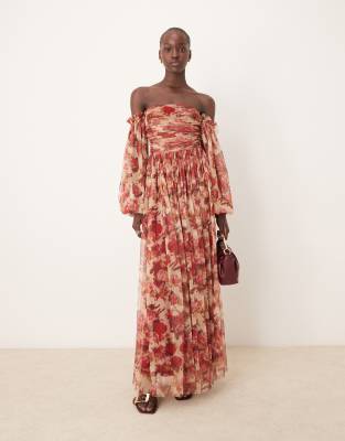 Lace & Beads sheer sleeve tulle ruffle maxi dress in rose floral-Multi