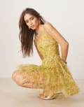 [Lace & Beads] Lace & Beads tulle drop waist corset mini dress in yellow buttercup floral 14 Buttercup floral
