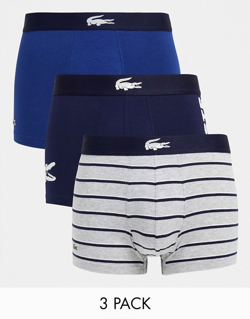 Lacoste 3 pack large logo trunks in navy