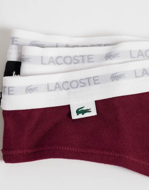 Lacoste 3 pack stretch cotton thongs in black, burgundy and pink, 3 of 3