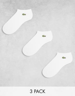 Lacoste 3 pack trainer socks in white