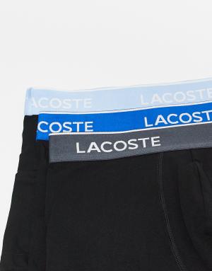 Lacoste 3 pack trunks in multi
