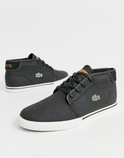 Chaussure shop lacoste ampthill