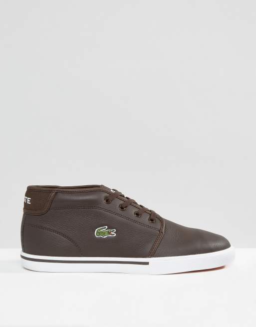 Lacoste ampthill clearance mens