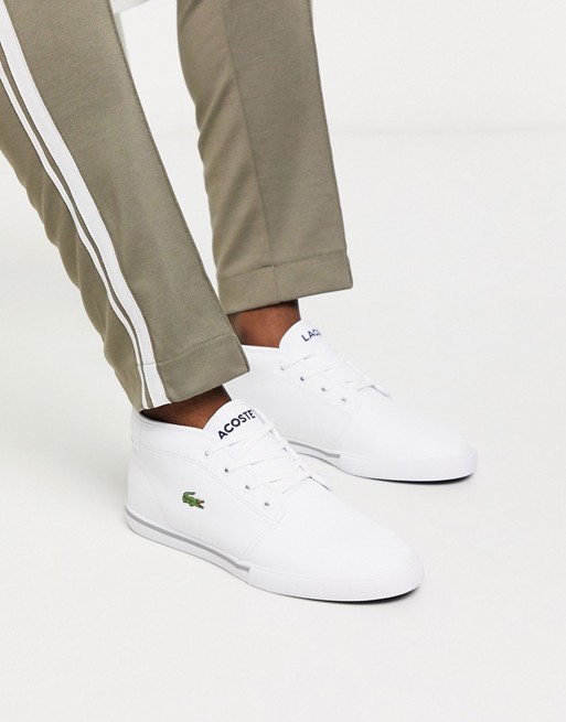 Lacoste ampthill trainer in white