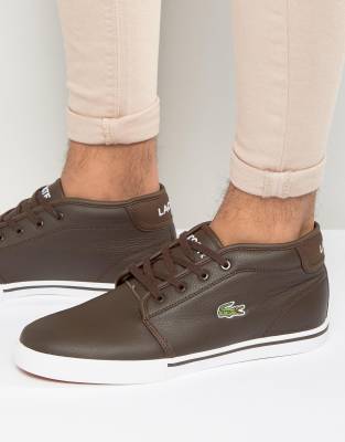 lacoste ampthill brown