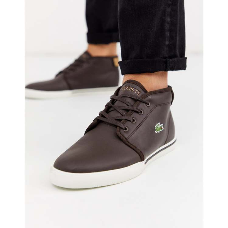 Lacoste chukkas store