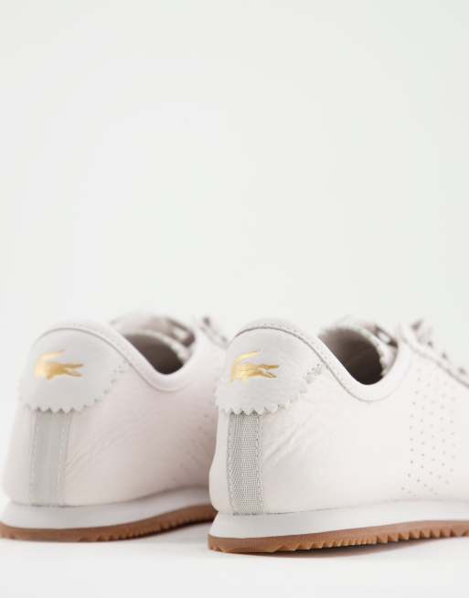 lacoste ascenta