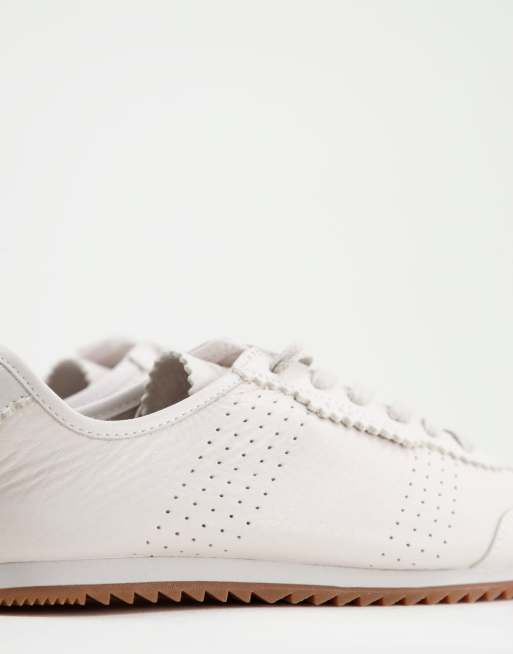 lacoste ascenta