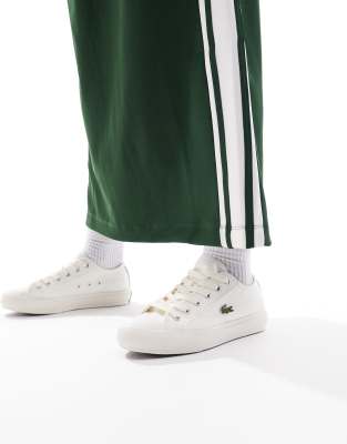 Lacoste backcourt 124 1 cfa trainers in stone-Neutral