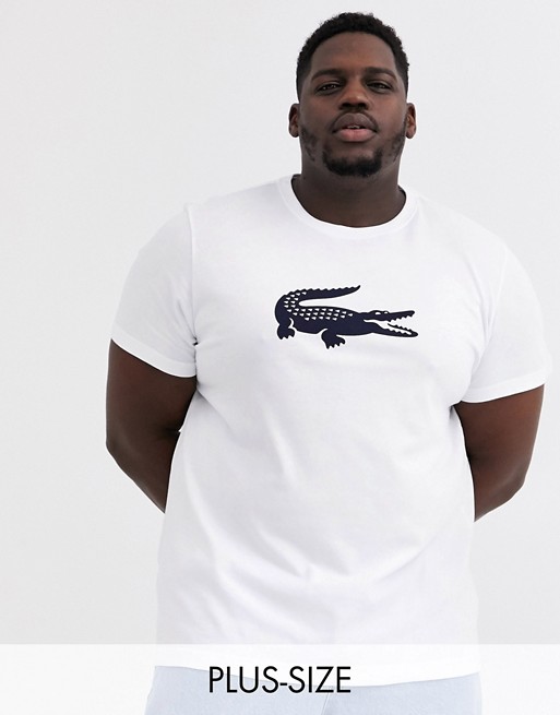 Lacoste big croc chest logo t-shirt in white