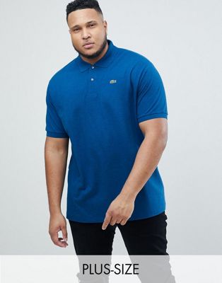 Lacoste Big logo polo shirt in blue | ASOS