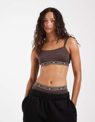 Lacoste - Bustier in Braun mit Logo-Brown