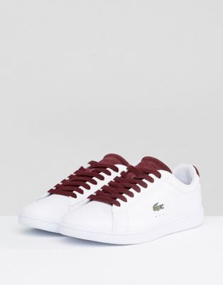burgundy lacoste shoes