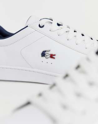 lacoste carnaby evo tricolor