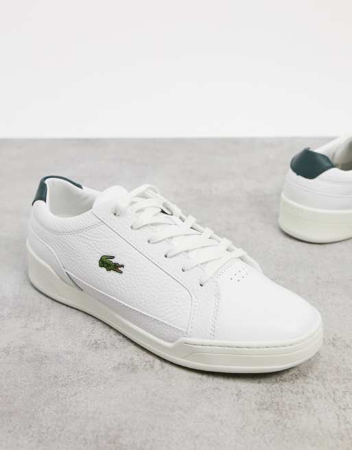 lacoste white and green shoes