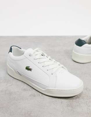 lacoste shoes white and green