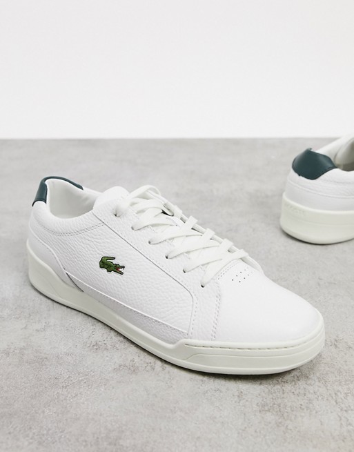 Lacoste challenge trainers in white green leather