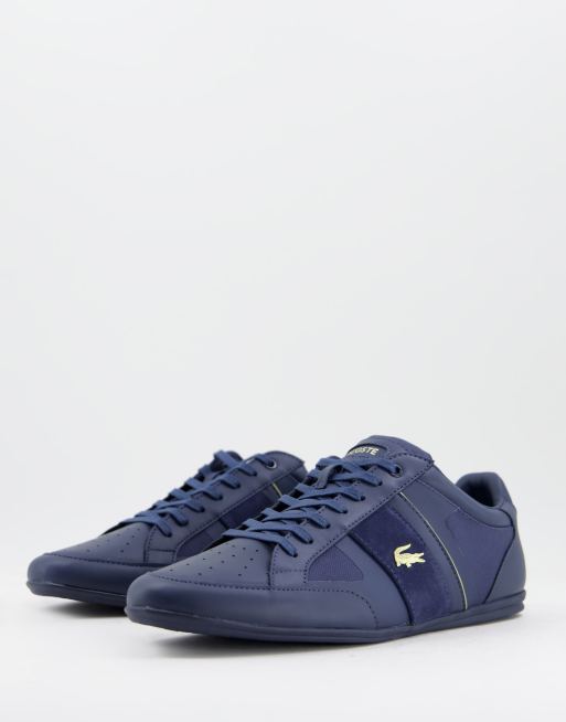 Chaussures Lacoste Chaymon blanc bleu marine