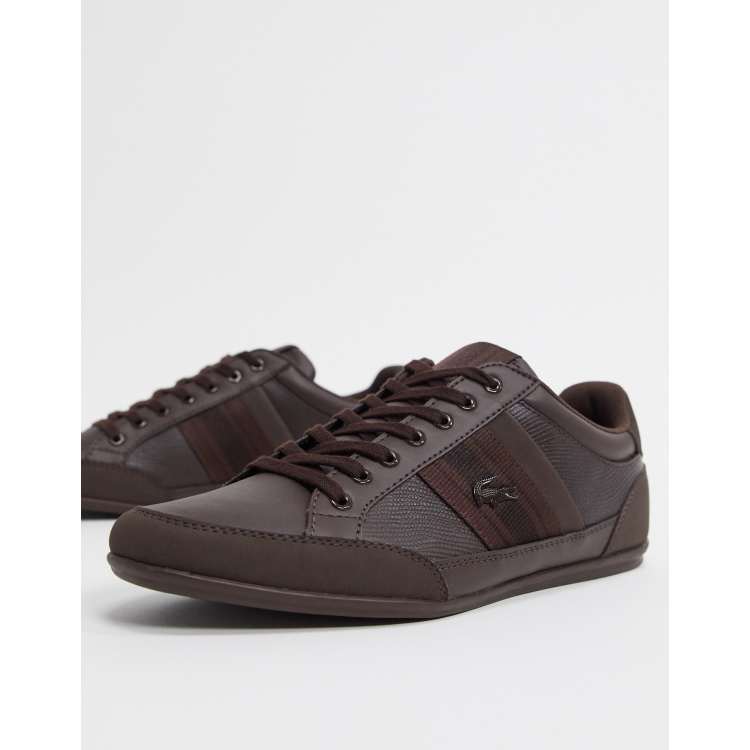 Lacoste hot sale shoes chaymon