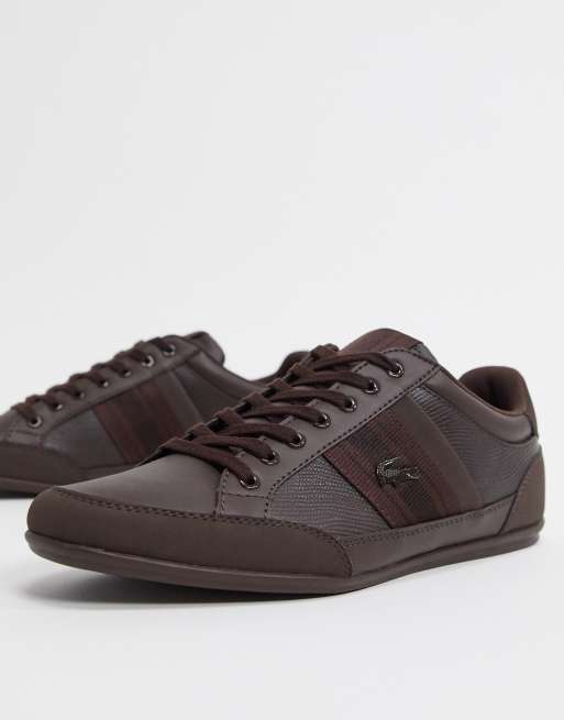 Lacoste chaymon brown sale