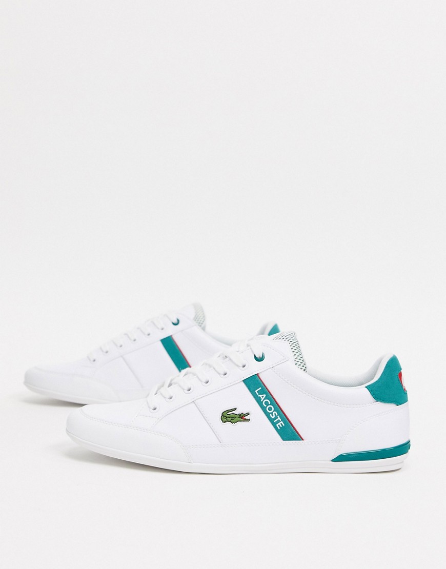 Lacoste - Chaymon - Sneakers in pelle bianche con righe verde-Bianco