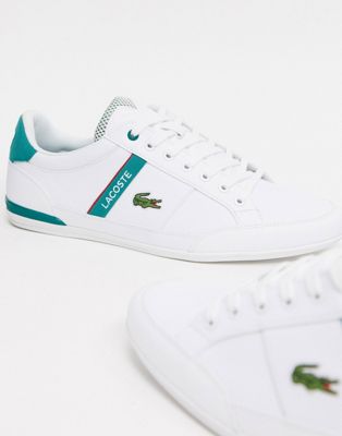 lacoste white and green shoes