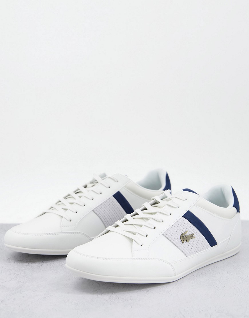 Lacoste chaymon sneakers in white/navy
