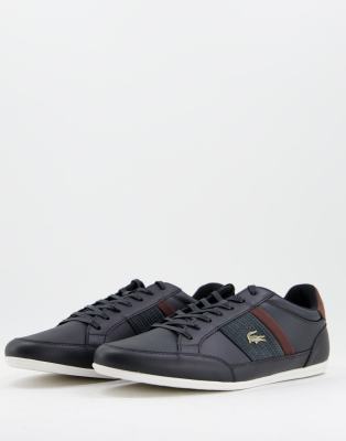 lacoste black & brown chaymon trainers