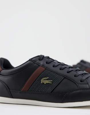 lacoste black & brown chaymon trainers