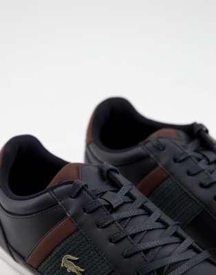 lacoste black & brown chaymon trainers