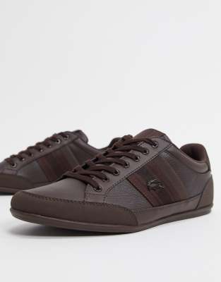 lacoste chaymon brown