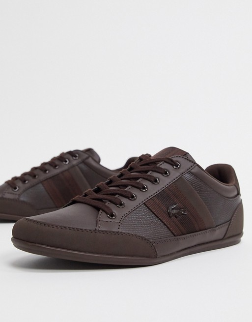 Lacoste chaymon trainers in brown