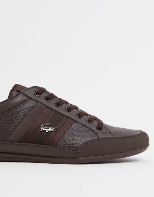 chaymon trainers in brown