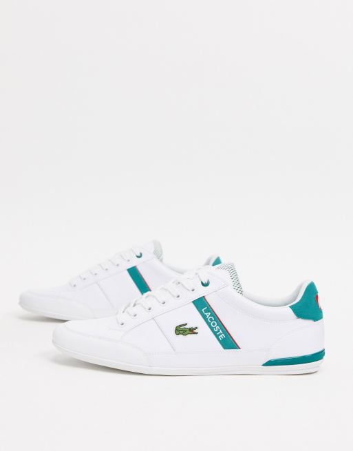 Lacoste – Chaymon – Vita sneakers i läder med grön rand