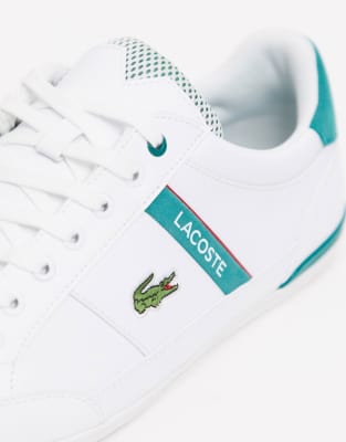 lacoste chaymon green