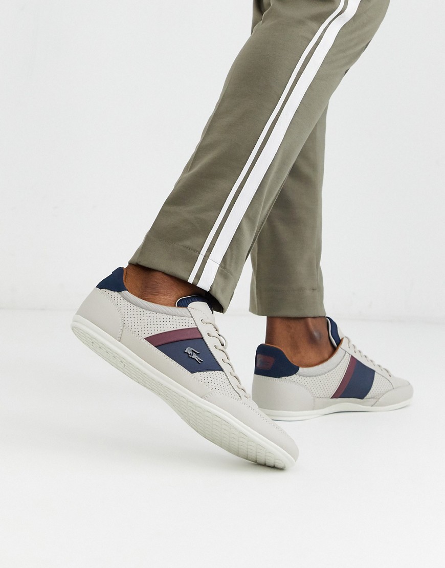 Lacoste - Chayon - Sneakers con striscia bianche-Bianco
