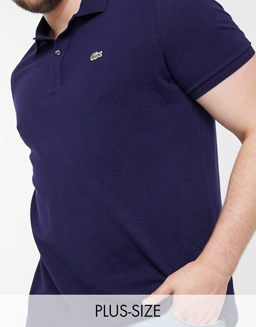Lacoste classic polo in french pique with croc in navy