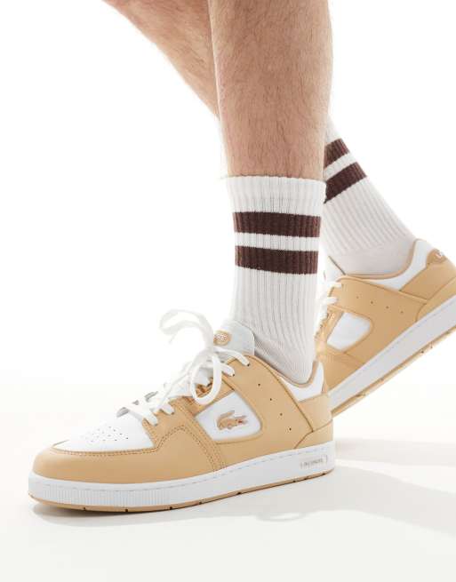 Lacoste Court Cage 124 1 SMA sneakers in brown