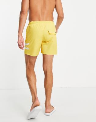 lacoste swimming shorts