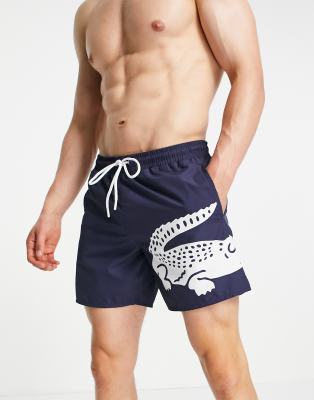 Lacoste Lacoste croc logo swim shorts-Navy