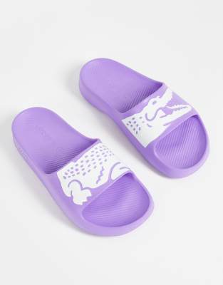 Lacoste Croco 2.0 logo slides in purple - ASOS Price Checker