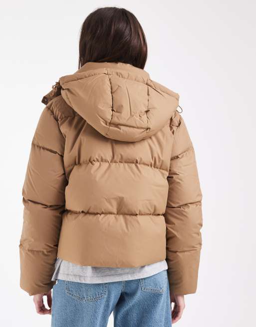 Lacoste cropped hooded down puffer jacket in brown, 2 of 4