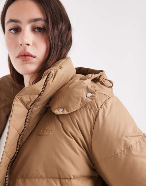 Lacoste cropped hooded down puffer jacket in brown, 4 of 4