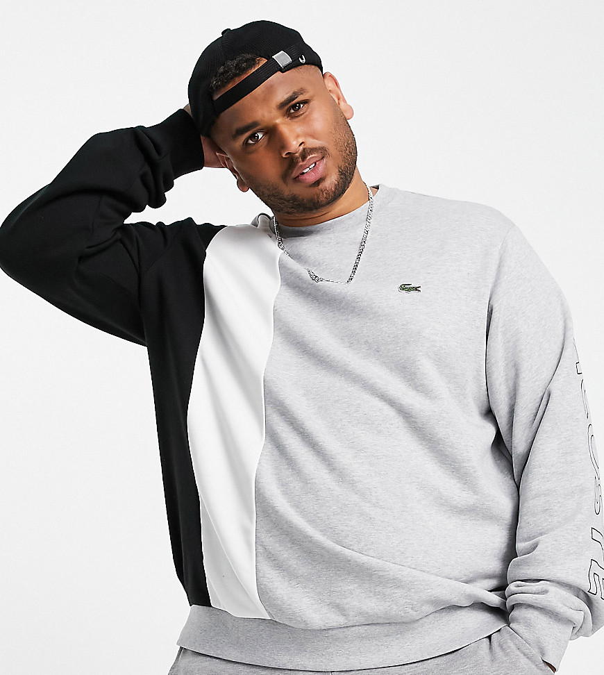 Lacoste cut and sew side panel sweat in grey/black