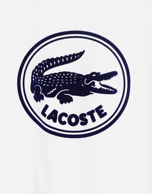 bold Mindre end Karakter Lacoste embroidered logo t-shirt in off white | ASOS