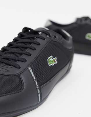 lacoste mens evara trainers